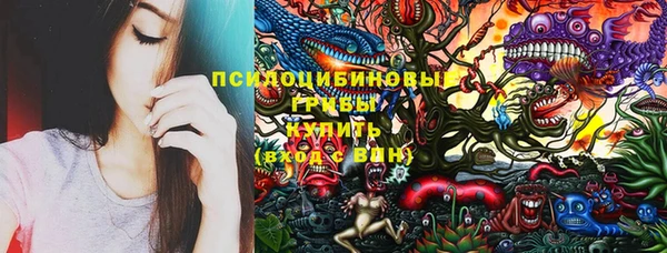 спайс Медногорск