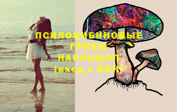 спайс Медногорск