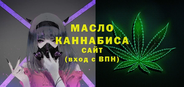 гидра Медвежьегорск