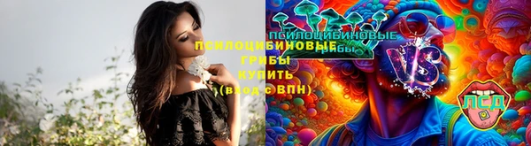 спайс Медногорск