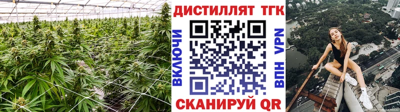ТГК Wax  Фатеж 