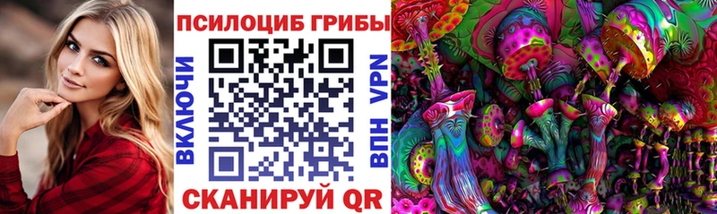 Псилоцибиновые грибы ЛСД  даркнет сайт  Фатеж 